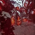 تصویر ترشک معجون 