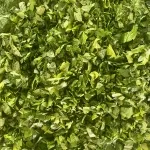 تصویر برگ کرفس (خرد شده)