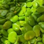 تصویر باقالی سبز تازه (بلانچ)