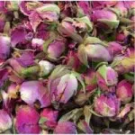 غنچه گل سرخ