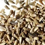 تصویر تخم کاسنی