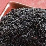 تصویر بالنگو