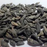 تصویر هلیله سیاه