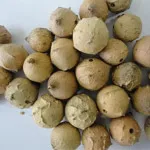 تصویر مازو درشت