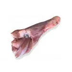 ماهیچه گوسفندی