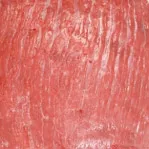 تصویر ران ممتاز گوساله