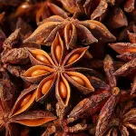 بادیان ستاره ای 