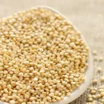 تصویر پروتئین گیاهی کینوا 