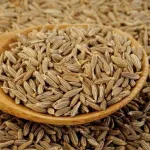 دانه زیره سبز