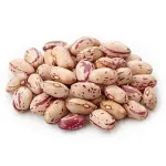 تصویر لوبیا چیتی