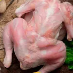 تصویر مرغ پاک شده درسته بی پوست