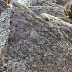 نان جو شوید