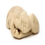 تصویر سیراب و شیردان گوسفند