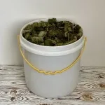 کرفس سرخ شده (تازه)