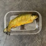 تصویر ماهی شکم پر