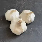 تصویر گل سیر